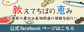 教えてちばの恵み 公式facebookページ