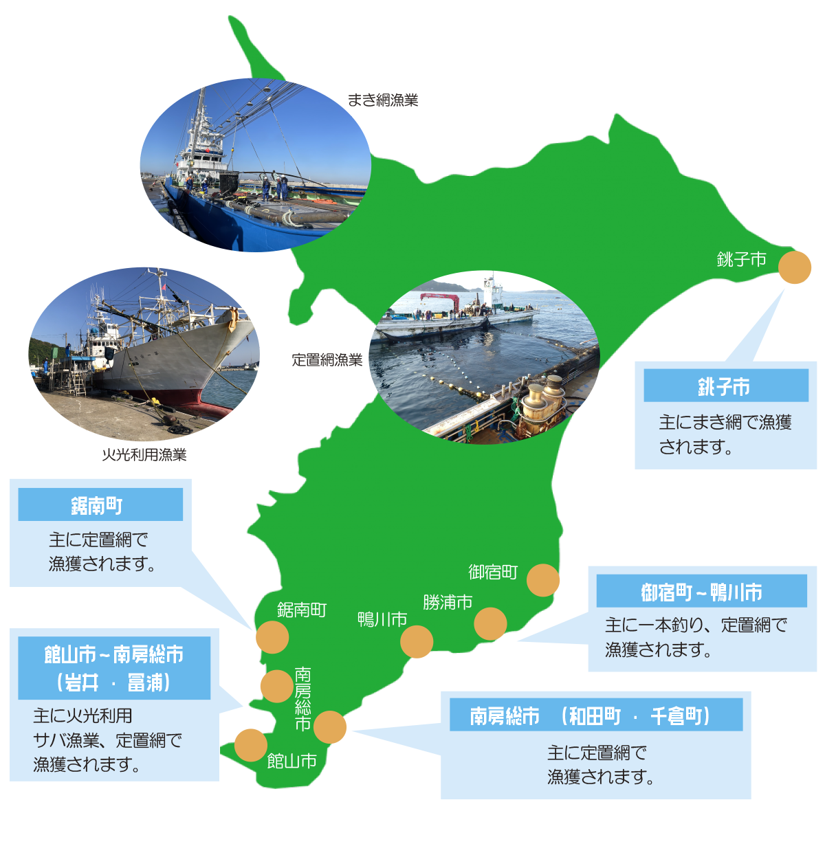 千葉の寒鯖!:イメージ